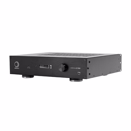 Elipson Infinite A1000 – Yüksek Güçlü Mono Subwoofer Amplifikatörü - Tekne Ses Sistemi