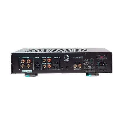 Elipson Infinite A1000 – Yüksek Güçlü Mono Subwoofer Amplifikatörü - Tekne Ses Sistemi